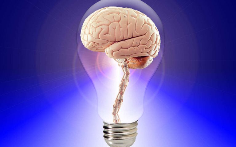 Fit im Kopf_Brain-Fitness für gestresste Köpfe, _Das bewegte Gehirn – Impulsvortrag mit Stresscoach Brigitte Zadrobilek Fit im Kopf_Brain-Fitness_Brain Workout_Das bewegte Gehirn - Impulsvortrag mit Stresscoach Brigitte Zadrobilek