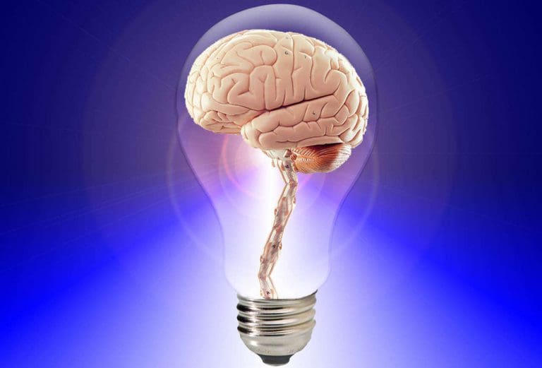 Fit im Kopf_Brain-Fitness für gestresste Köpfe, _Das bewegte Gehirn – Impulsvortrag mit Stresscoach Brigitte Zadrobilek Fit im Kopf_Brain-Fitness_Brain Workout_Das bewegte Gehirn - Impulsvortrag mit Stresscoach Brigitte Zadrobilek