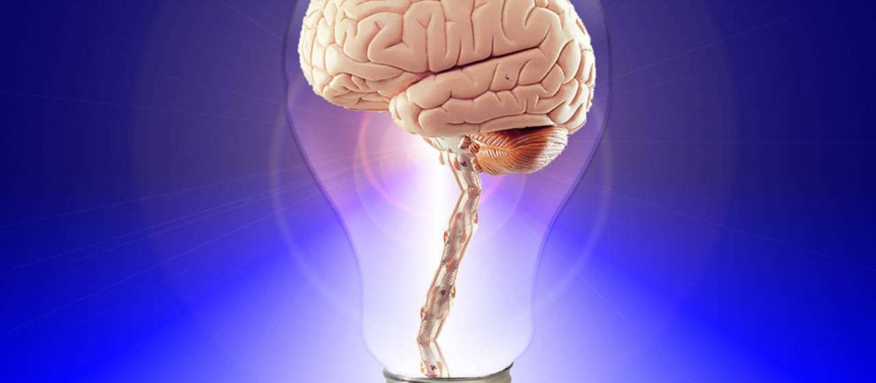 Fit im Kopf_Brain-Fitness_Brain Workout_Das bewegte Gehirn - Impulsvortrag mit Stresscoach Brigitte Zadrobilek