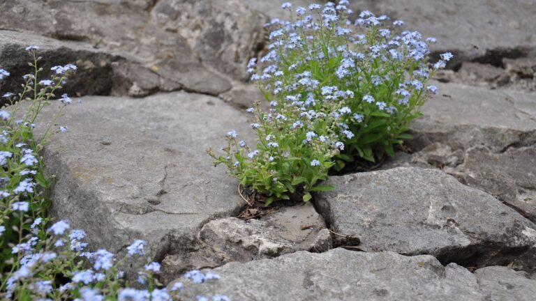 Resilienz-Vortrag von Stresscoach Brigitte Zadrobilek