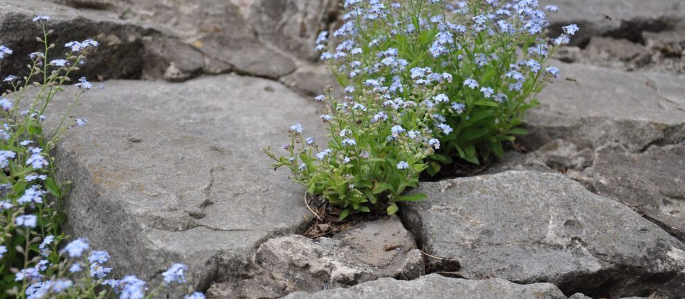 Resilienz-Vortrag von Stresscoach Brigitte Zadrobilek