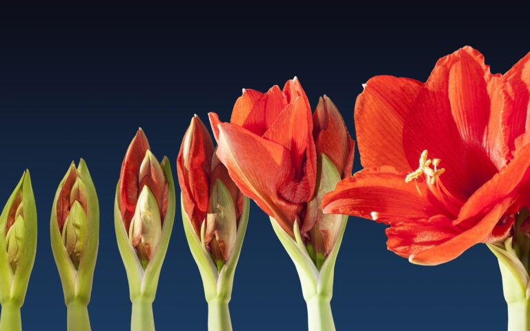 PERMA-Lead® für Führungskräfte mit Stresscoach Brigitte Zadrobilek PERMA-Lead® für Führungskräfte mit Stresscoach Brigitte Zadrobilek