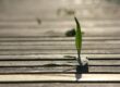 Resilienz stärken mit Resilienztraining von Stresscoach Brigitte Zadrobilek