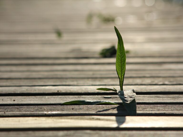 Resilienz stärken_ Resilienz stärken mit Resilienztraining von Stresscoach Brigitte Zadrobilek