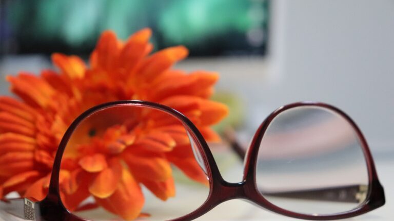 Perspektivwechsel schaffen und Stresskompetenz entfalten mit Stresscoach Brigitte Zadrobilek